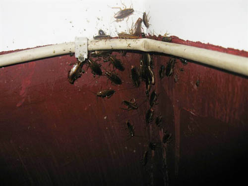 ���l������˾���ؙz�鿱�y�F��